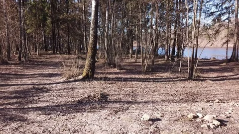 Between the quarry and the river Western Dvina Stock Footage 105157120