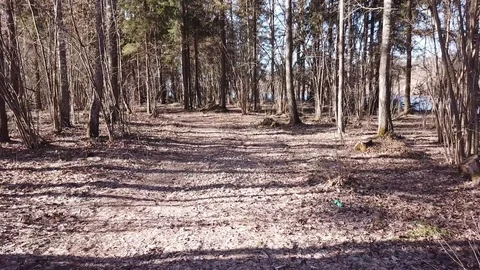 Between the quarry and the river Western Dvina Stock Footage 105157127
