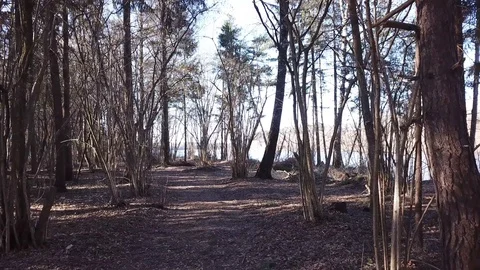 Between the quarry and the river Western Dvina Stock Footage 105157194