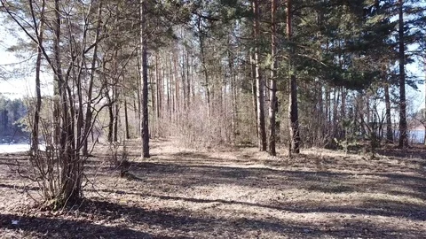 Between the quarry and the river Western Dvina Stock Footage 105157268