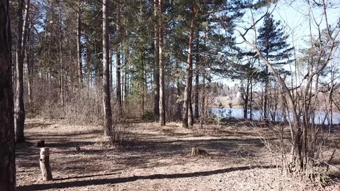 Between the quarry and the river Western Dvina Stock Footage 105157584