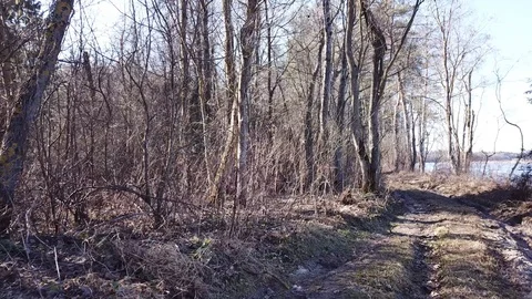 Between the quarry and the river Western Dvina Stock Footage 105157749