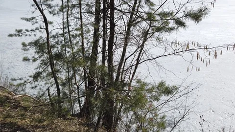 Between the quarry and the river Western Dvina Stock Footage 105216802