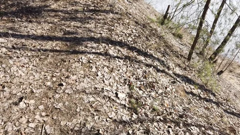 Between the quarry and the river Western Dvina Stock Footage 105217035