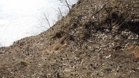 Between the quarry and the river Western Dvina Stock Footage 105217234