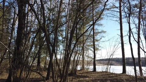 Between the quarry and the river Western Dvina Stock Footage 105217542