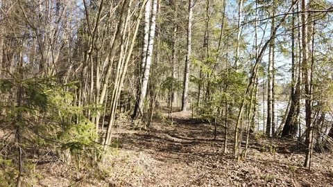 Between the quarry and the river Western Dvina Stock Footage 105217657