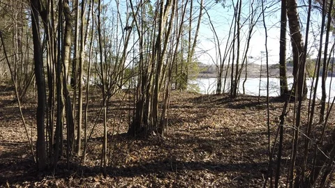 Between the quarry and the river Western Dvina Stock Footage 105217660