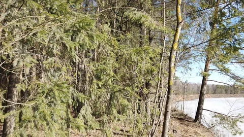 Between the quarry and the river Western Dvina Stock Footage 105217763