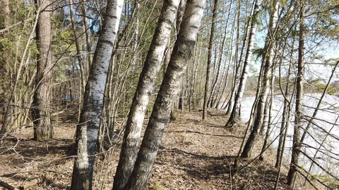 Between the quarry and the river Western Dvina Stock Footage 105218004