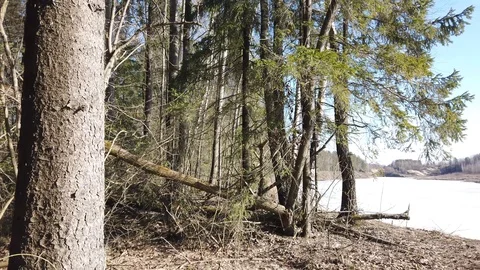 Between the quarry and the river Western Dvina Stock Footage 105218252