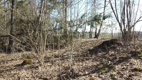 Between the quarry and the river Western Dvina Stock Footage 105218614
