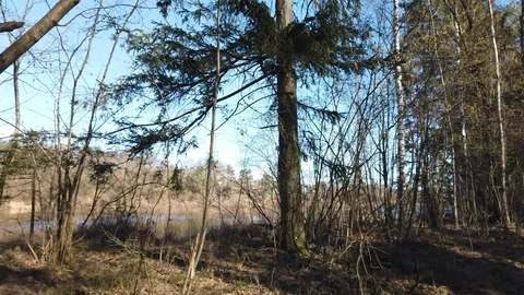 Between the quarry and the river Western Dvina Stock Footage 105218641