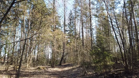 Between the quarry and the river Western Dvina Stock Footage 105218745