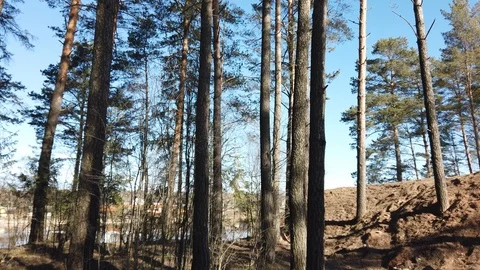 Between the quarry and the river Western Dvina Stock Footage 105219053