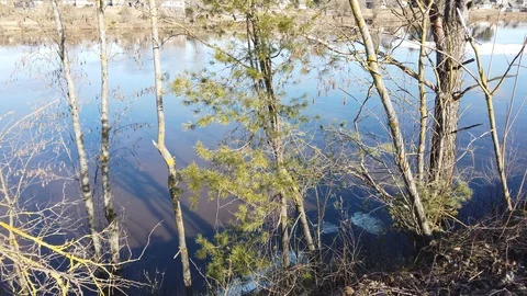 Between the quarry and the river Western Dvina Stock Footage 105219324