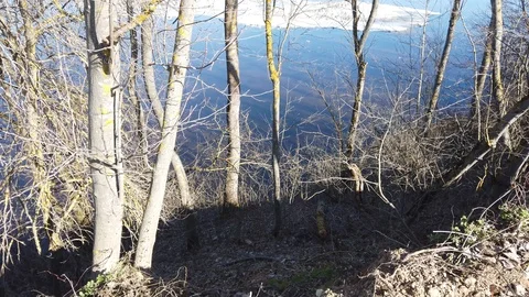 Between the quarry and the river Western Dvina Stock Footage 105219396