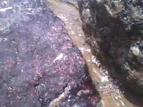 Between the rocks on the beach runs a river, it's sea water, beautiful Stock Footage 163683041