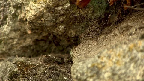 Between Rocks Texture Stock Footage 79641364