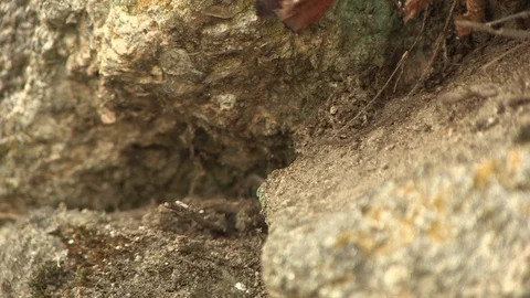 BETWEEN ROCKS TEXTURE Stock Footage 90132238