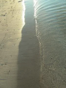 Between the sand and the sea. Stock Photos