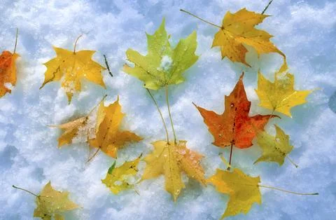 Between seasons Stock Photos
