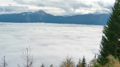 Between the sky and the earth there is a white fluffy fog Stock Footage 254726827