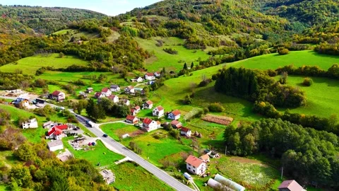 Between Towers and Trees Stock Footage 317210221