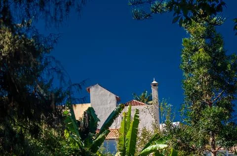 Between the trees the chimney stands out Foto stock