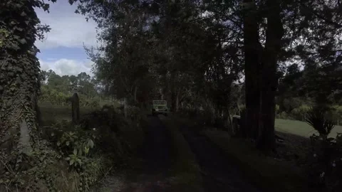 Between trees Stock Footage 219832571