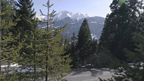 Between Trees Mountain View Aerial 4k Stock Footage 77464313