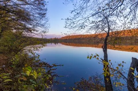 Between trees Stock Photos
