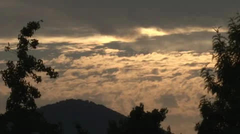 Between trees timelapse Stock Footage 20396062