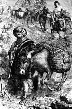 Between Tunis and the desert. Jacob down based on his ass, vintage engraving. Stock Illustration