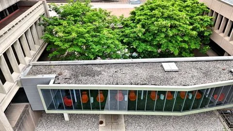 Between Two Educational - Syracuse University Foto stock
