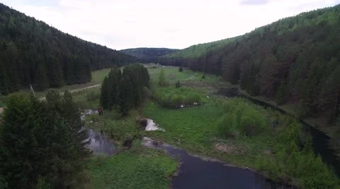 Between the two high green hills with a height of bird flight Vidéo 63349159