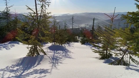 Between Winter Trees Snowy Aerial 4k Video stock 71118095