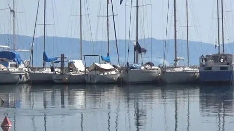 Between yachts seagulls hunt for fish that appears Stock Footage 152298404