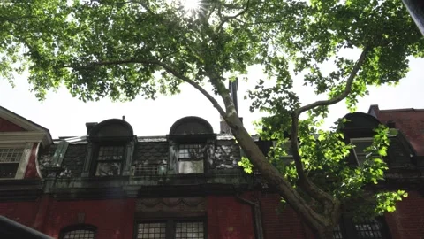 A beuatiful old rustic brownstone building in the upper east side Manhattan Stock Footage 242365975