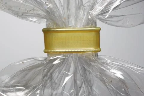 Beutelclips Stock Photos