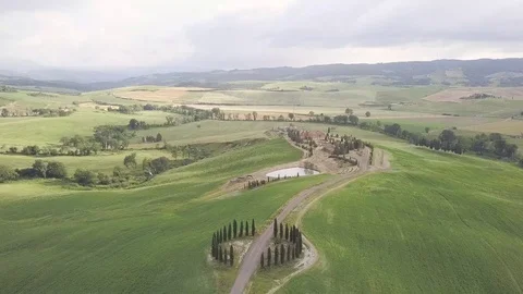 Beutiful green hills with pine trees Stock Footage 114960900