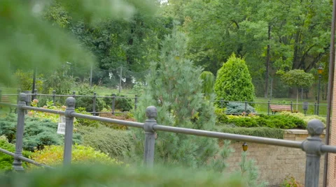 Beutiful green landscape Stock Footage 68080877