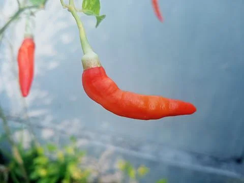 Beutiful nature Foto stock