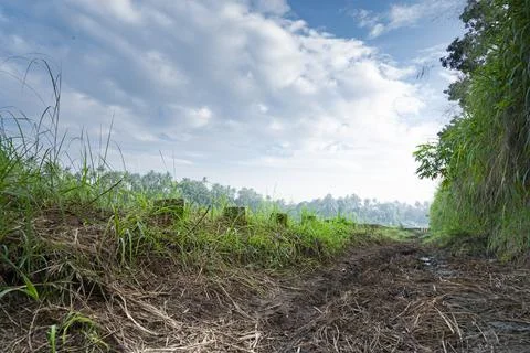 A beutiful scenery of landscape with river side, sky in village in kerala, .. Stock Photos