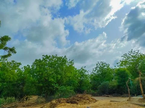 Beutiful Short Of Monsoon Season Cloud And Tree Nature Beauty Stock Photos