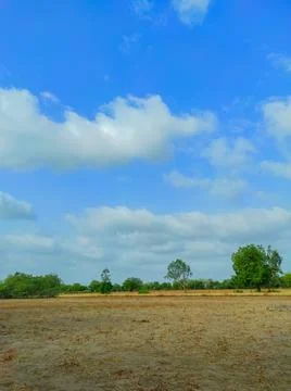 Beutiful Short Of Monsoon Season Cloud And Tree Nature Beauty Stock Photos