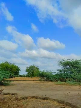Beutiful Short Of Monsoon Season Cloud And Tree Nature Beauty Stock Photos