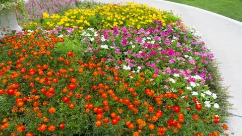 Beutiful small park Stock Photos