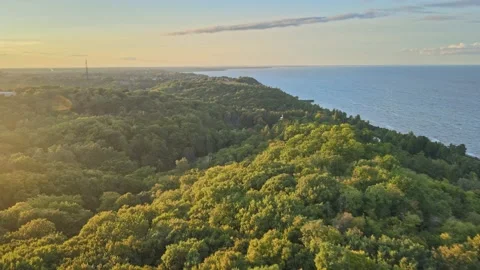 Beutiful sunset in park forest. Blue river. 库存影片 161592862