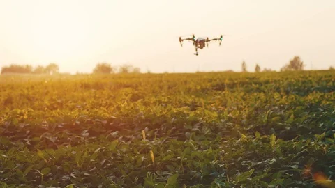 Beutiful sunset smart agriculture drone flying in sky rural aerial helicopter Stock Footage 115109289